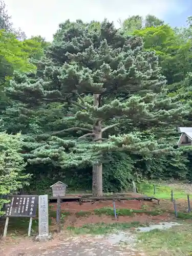 那須温泉神社(栃木県)