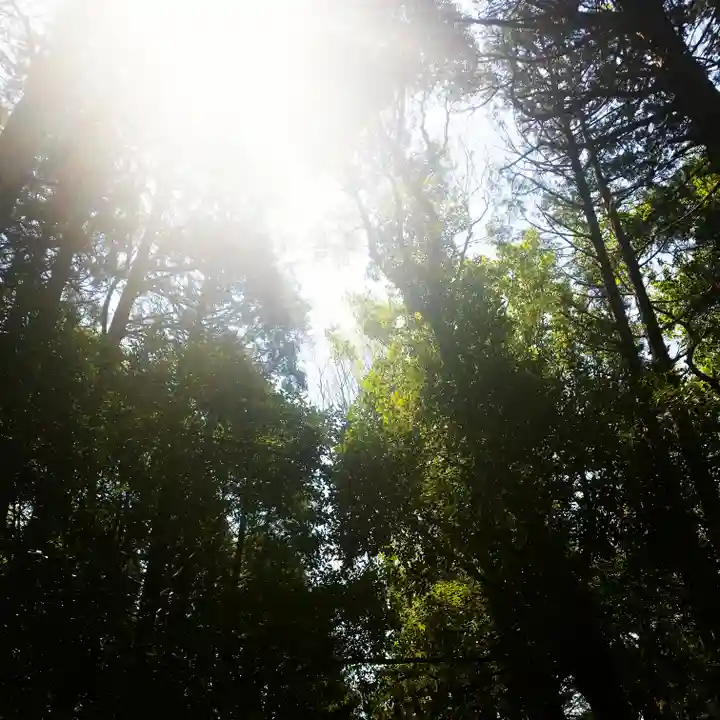 鹿島神宮の自然