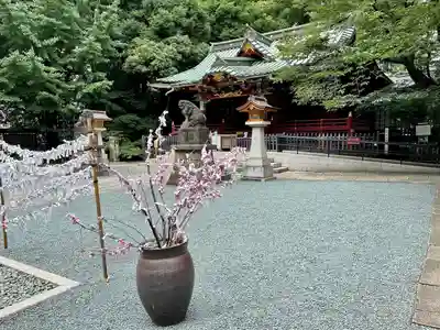 金王八幡宮(東京都)