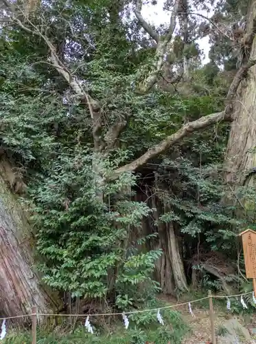 香取神宮(千葉県)
