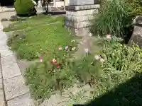 諏訪神社(群馬県)