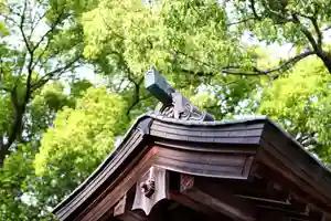 三津厳島神社の本殿・本堂(2021年05月15日(土) 07時46分36秒投稿)