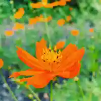 豊景神社の自然