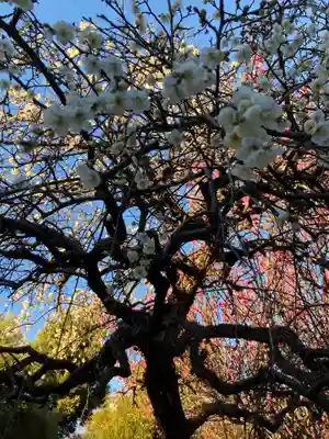 善性寺(神奈川県)