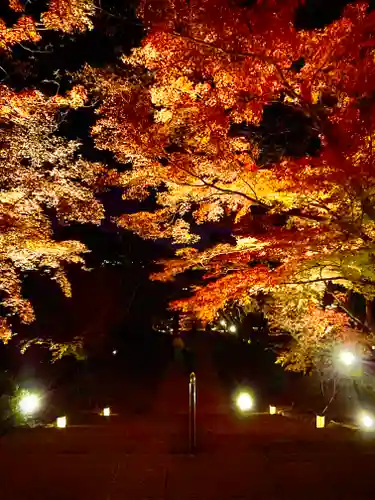 宝満宮竈門神社の自然