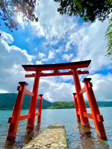 箱根神社の鳥居