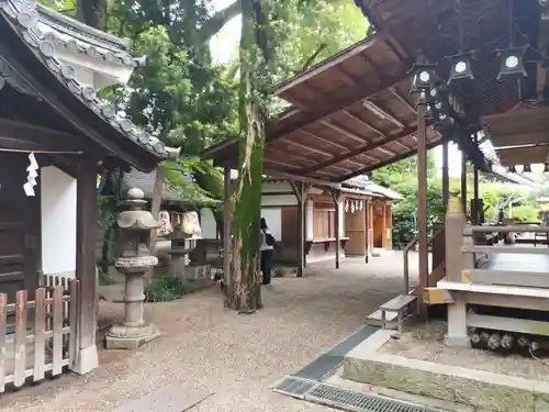 杭全神社(大阪府)