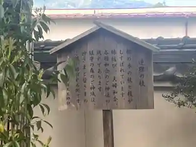 天王神社の{uncategorized: "未分類", other: "その他", undefined: "問題あり", building: "その他建物", grave: "お墓", sacred_gate: "鳥居", guardian: "狛犬", statue: "像", buddha: "仏像", history: "歴史", nature: "自然", garden: "庭園", animal: "動物", pagoda: "塔", temizu: "手水舎", mountain_gate: "山門・神門", sanctuary: "本殿・本堂", subordinate: "末社・摂社", art: "芸術", scenery: "景色", jizo: "地蔵", ema: "絵馬", goshuin: "御朱印", omikuji: "おみくじ", items: "授与品その他", amulet: "お守り", goshuincho: "御朱印帳", eats: "食事", festival: "お祭り", votive_dance: "神楽", shichigosan: "七五三参", wedding: "結婚式", experience: "体験その他", initially: "初詣", around: "周辺", anti_infection: "感染症対策"}