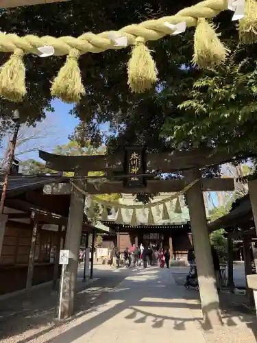 川越氷川神社(埼玉県)