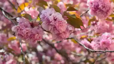石崎地主海神社(北海道)
