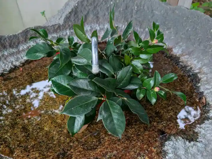 愛宕神社(福島県)