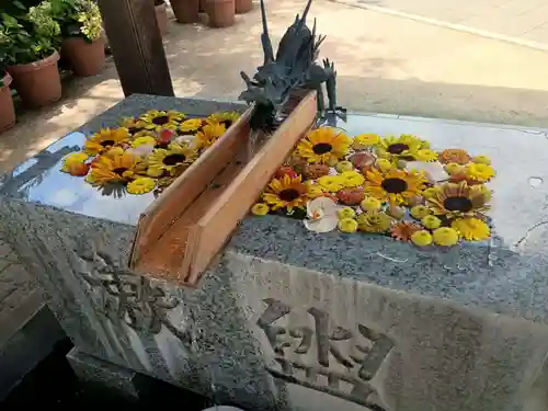 川越八幡宮(埼玉県)