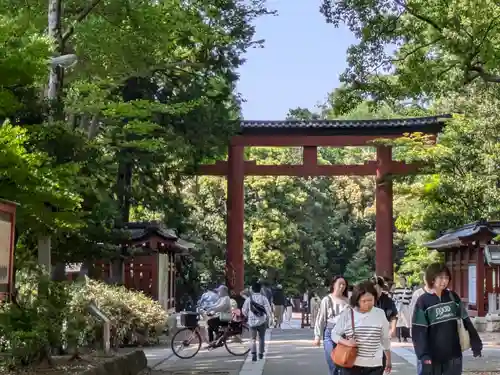 武蔵一宮氷川神社(埼玉県)