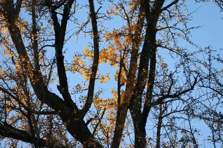 三春大神宮の自然