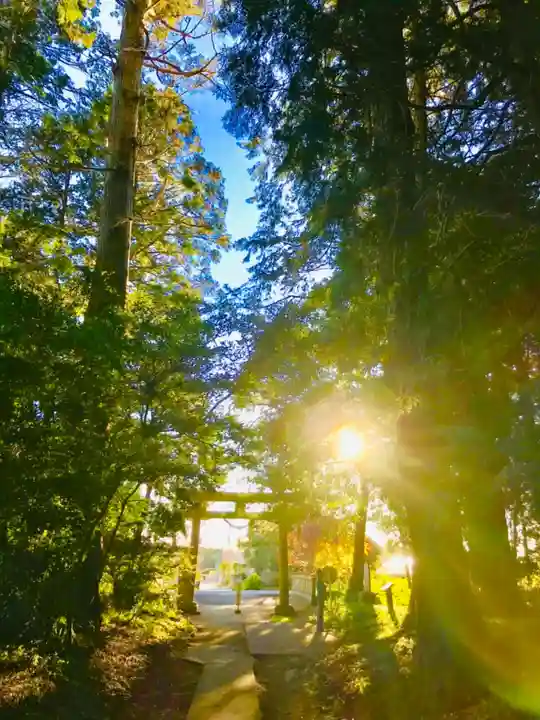 阿弥神社のその他建物
