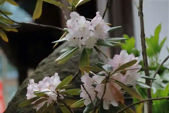 阿邪訶根神社の自然
