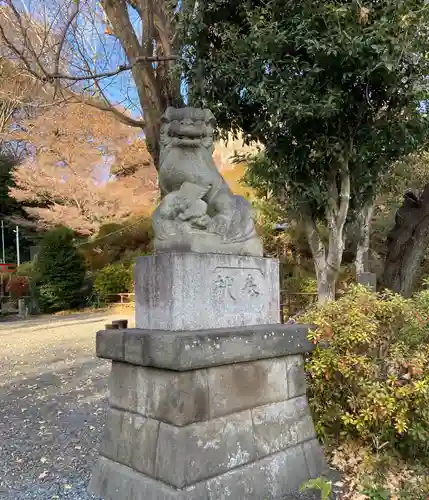 武州白子熊野神社(埼玉県)