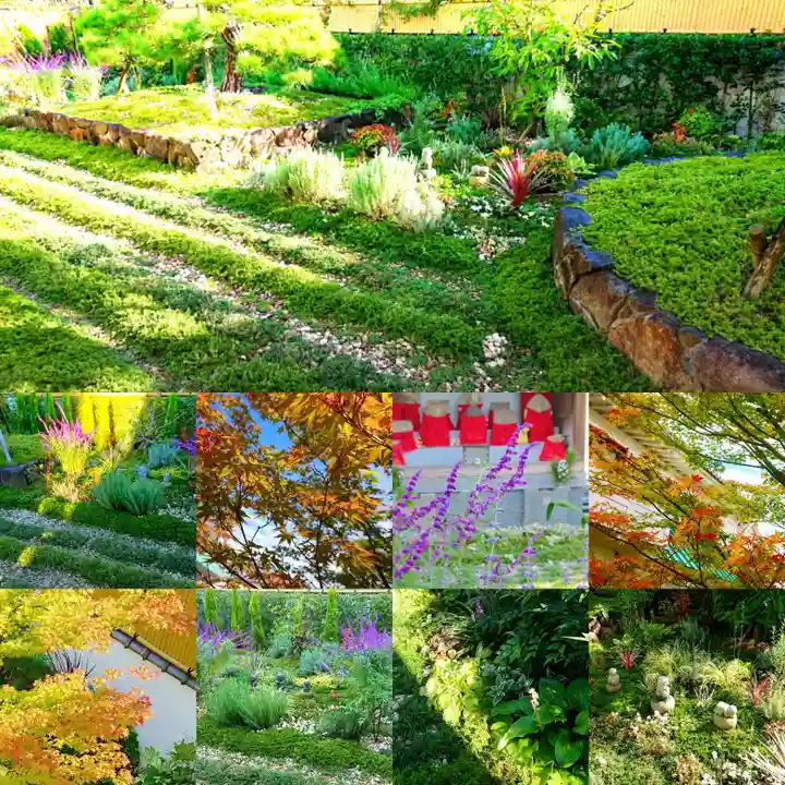 寿量山 速成寺の自然