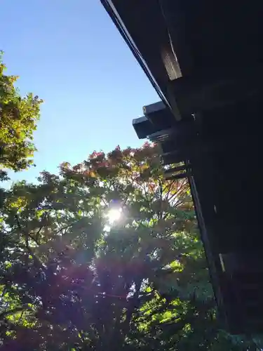 厚別神社(北海道)