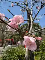 冠稲荷神社(群馬県)