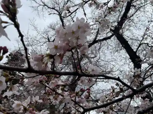 新田稲荷神社の自然