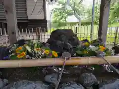 湯倉神社の手水