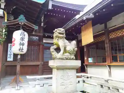 髙牟神社の狛犬