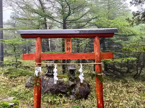 山の神神社(長野県)