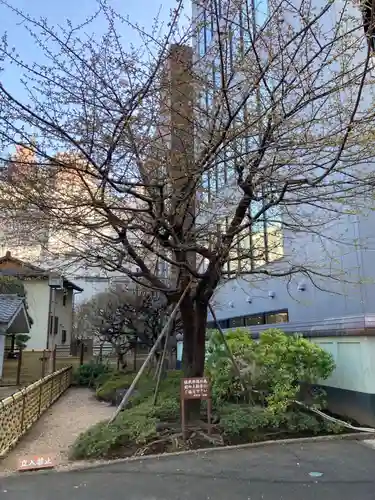 日蓮宗　浄運寺(東京都)