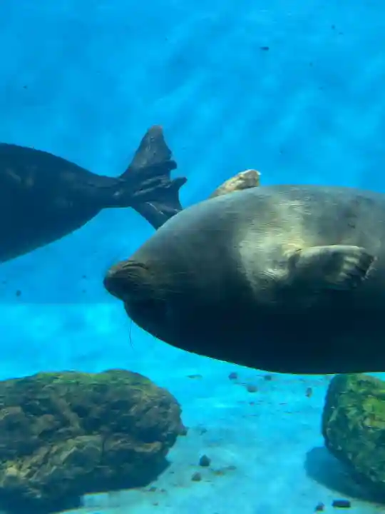 世木神社(三重県)