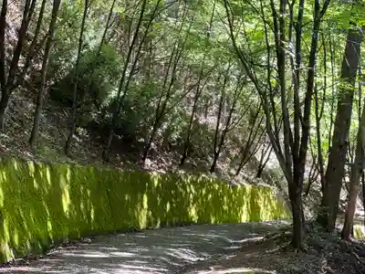 母の白滝神社の周辺