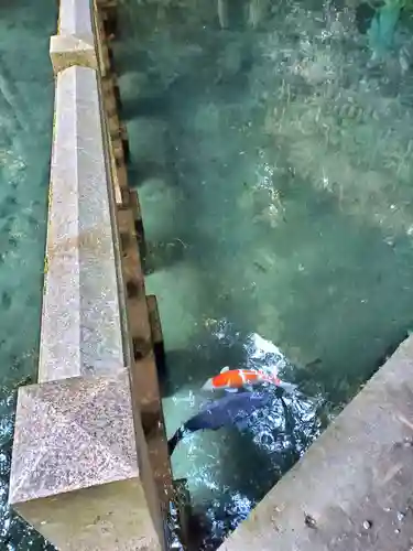 鹿島神宮(茨城県)