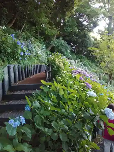 長谷寺の庭園