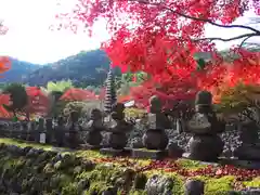 化野念仏寺(京都府)