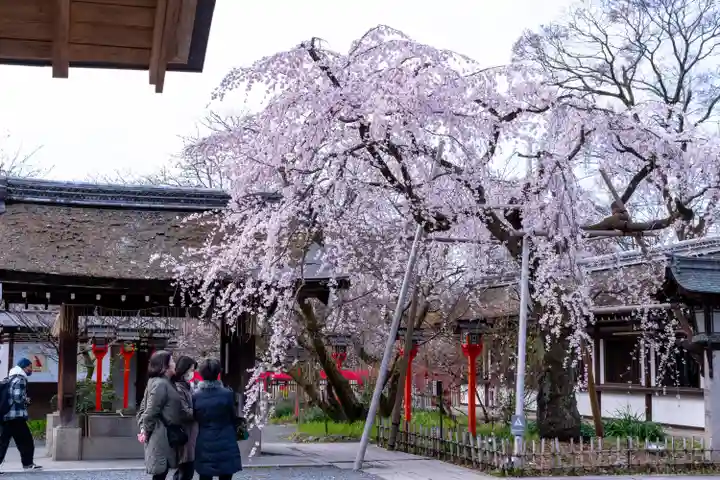 平野神社(京都府)