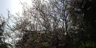 出雲大神宮のその他建物