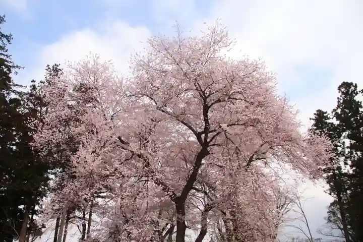 神炊館神社 ⁂奥州須賀川総鎮守⁂の自然