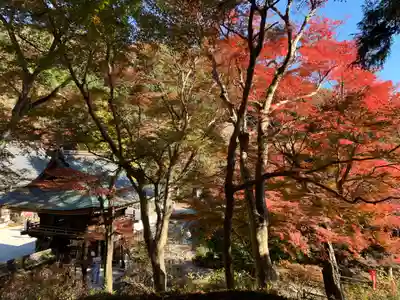 普門寺(切り絵御朱印発祥の寺)(愛知県)