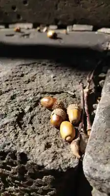 相馬神社(北海道)