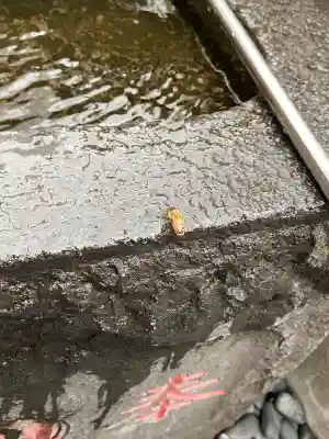 朝日稲荷神社の{uncategorized: "未分類", other: "その他", undefined: "問題あり", building: "その他建物", grave: "お墓", sacred_gate: "鳥居", guardian: "狛犬", statue: "像", buddha: "仏像", history: "歴史", nature: "自然", garden: "庭園", animal: "動物", pagoda: "塔", temizu: "手水舎", mountain_gate: "山門・神門", sanctuary: "本殿・本堂", subordinate: "末社・摂社", art: "芸術", scenery: "景色", jizo: "地蔵", ema: "絵馬", goshuin: "御朱印", omikuji: "おみくじ", items: "授与品その他", amulet: "お守り", goshuincho: "御朱印帳", eats: "食事", festival: "お祭り", votive_dance: "神楽", shichigosan: "七五三参", wedding: "結婚式", experience: "体験その他", initially: "初詣", around: "周辺", anti_infection: "感染症対策"}