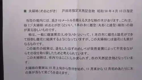 新曽氷川神社(埼玉県)