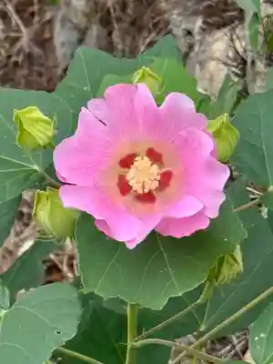 蔵林寺(京都府)