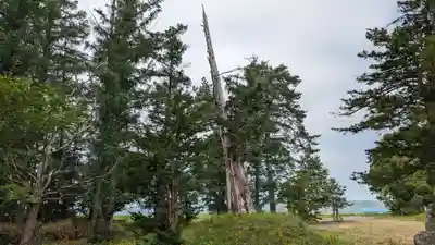 共成神社の自然