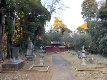 面足神社(千葉県)