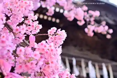 桜神宮(東京都)