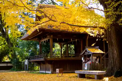 玉敷神社の自然