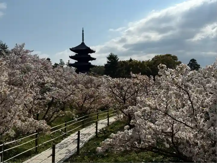 仁和寺(京都府)