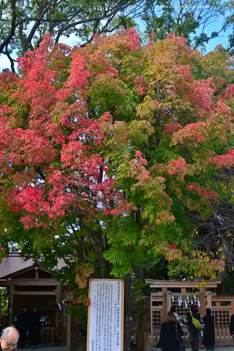 伊勢山皇大神宮(神奈川県)