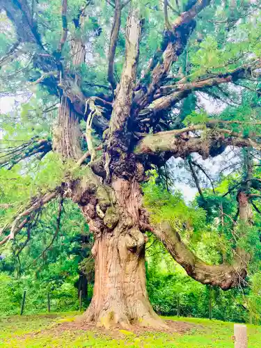 瀧水寺大日坊(山形県)