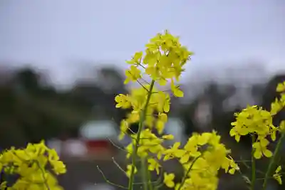本牧神社(神奈川県)
